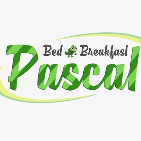 B&B Pascal Cagliari Ngoại thất bức ảnh